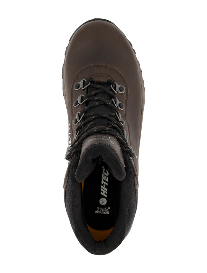 Altitude VI i WP - Main Image